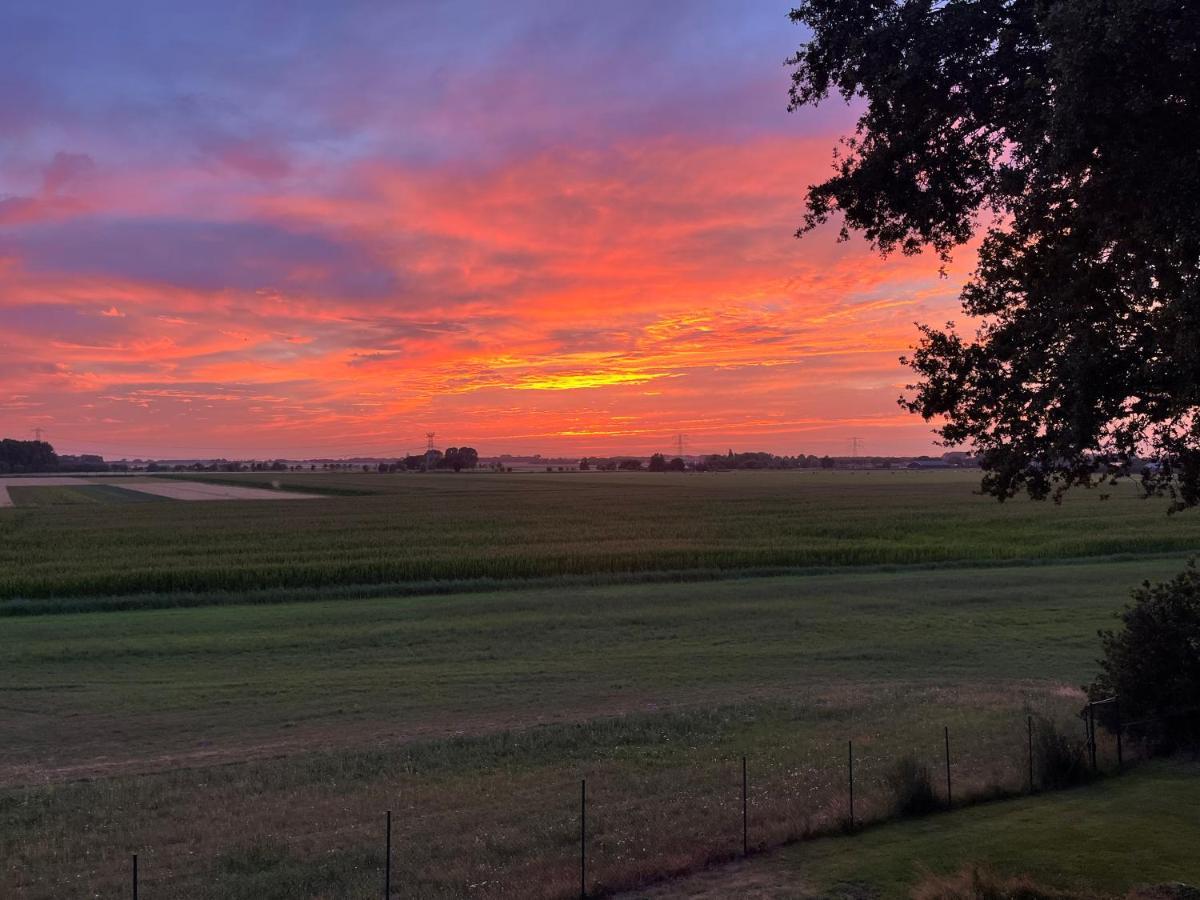 B&B Op De Brabantse Wal Halsteren Exteriör bild