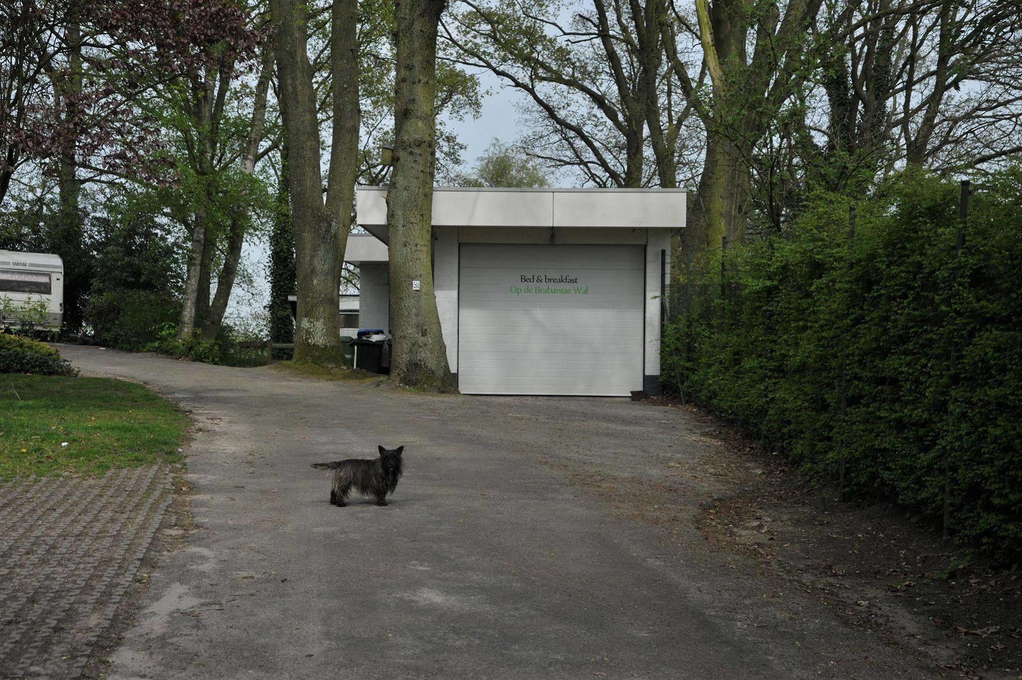 B&B Op De Brabantse Wal Halsteren Exteriör bild